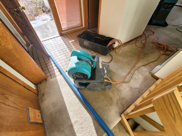 Best Emergency water damage restoration  in Mabank, TX