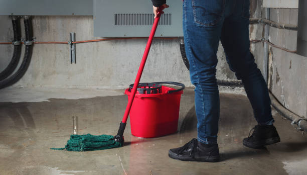 Best Water damage restoration mold remediation  in Mabank, TX